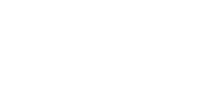 フリーライトと契約してからのリードの獲得数の急上昇を現すグラフ